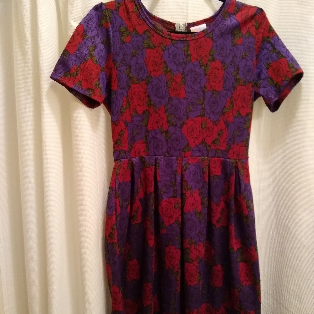 LuLaRoe Large Jaquard Rose Amelia Dress